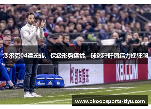 沙尔克04遭逆转，保级形势堪忧，球迷呼吁团结力挽狂澜