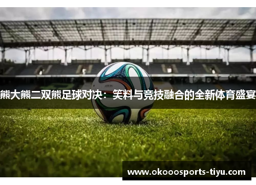 熊大熊二双熊足球对决：笑料与竞技融合的全新体育盛宴