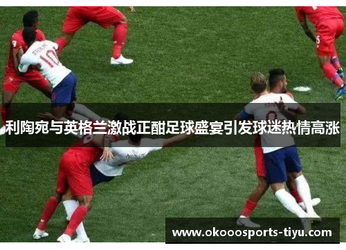 利陶宛与英格兰激战正酣足球盛宴引发球迷热情高涨